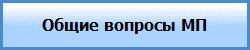 Общие вопросы МП